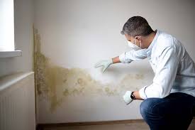 Best Forensic Mold Investigation in USA